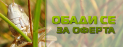 Обади се за оферта за озеленяване