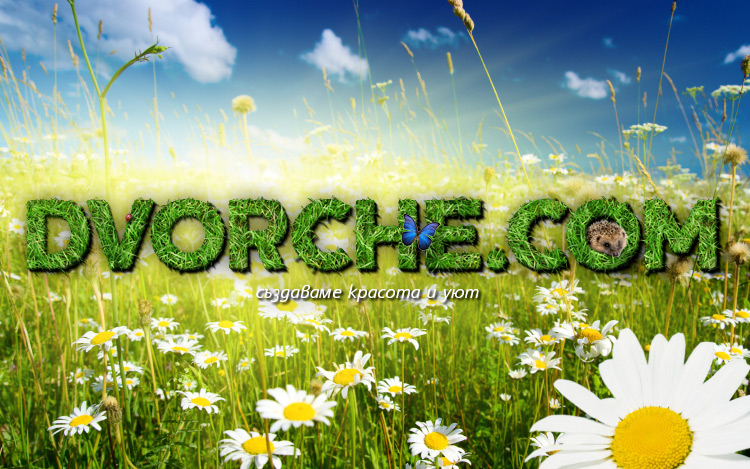 Dvorche.com - пролет