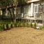 Декоративна растителност - обект НКБТХ