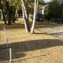 Зелени площи - обработени и засадени с нова трева