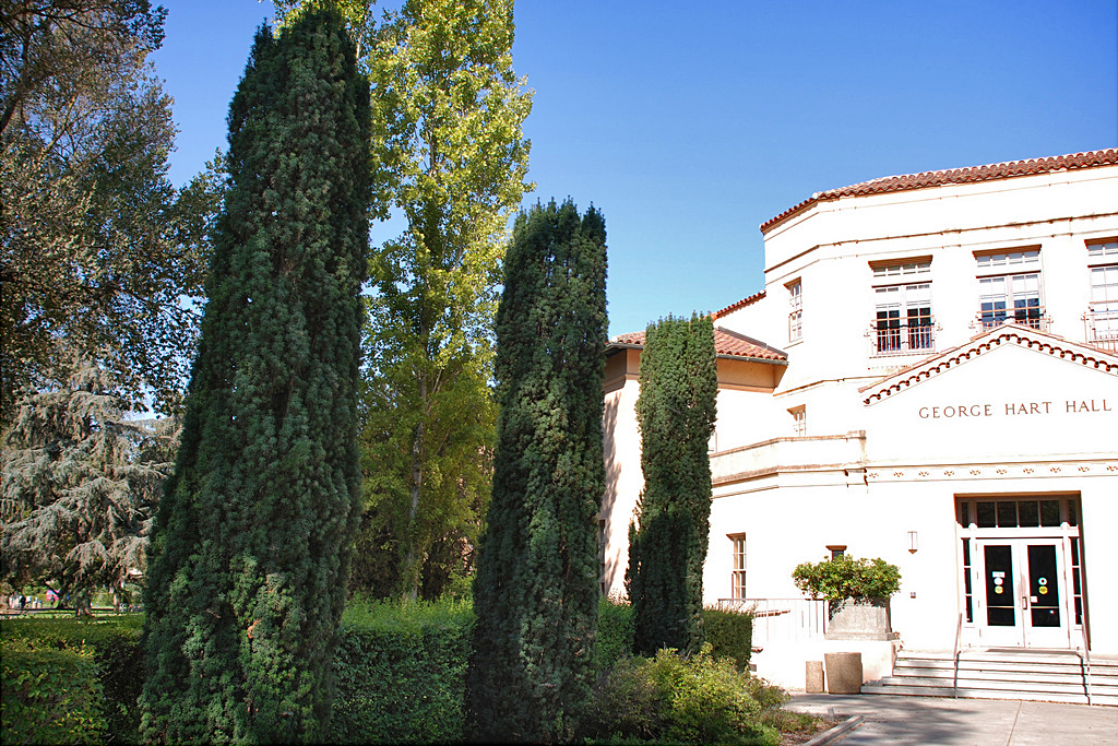 Тис (Taxus) Тис (Taxus)