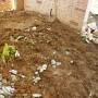 Частен двор - Бистрица гардънс - засаждане на декоративна растителност (преди)