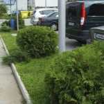 Автосервиз на бул. Тодор Каблешков, София - Резултатът