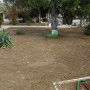 Озеленяване на частен двор в с. Пожарево