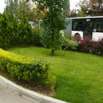 Озеленяване на бизнес сграда на бул. Тодор Каблешков